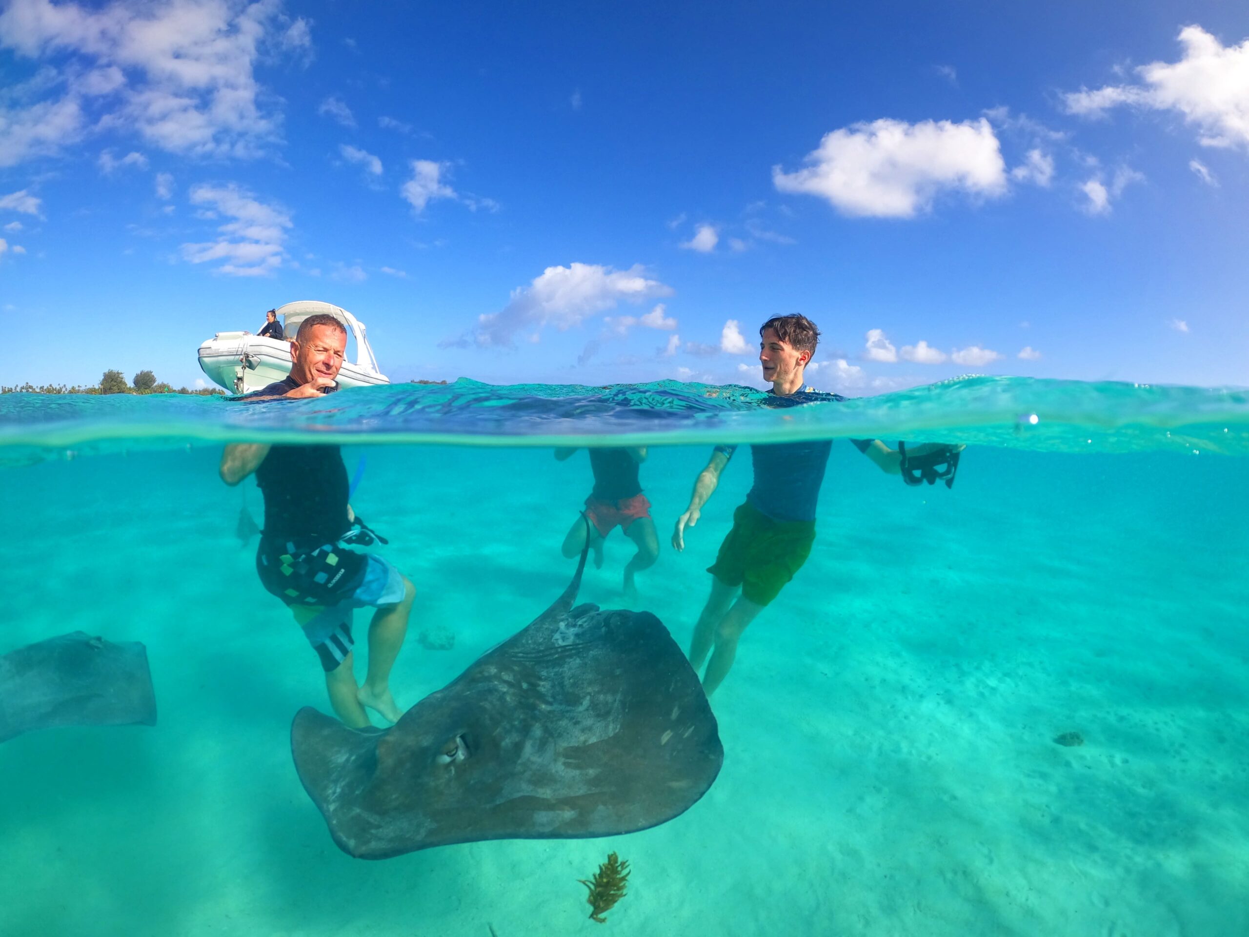 Snorkeler diving with manta rays in Tuamotu Atoll