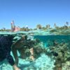 Responsible snorkeling in Moorea lagoon, French Polynesia