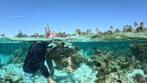 Responsible snorkeling in Moorea lagoon, French Polynesia