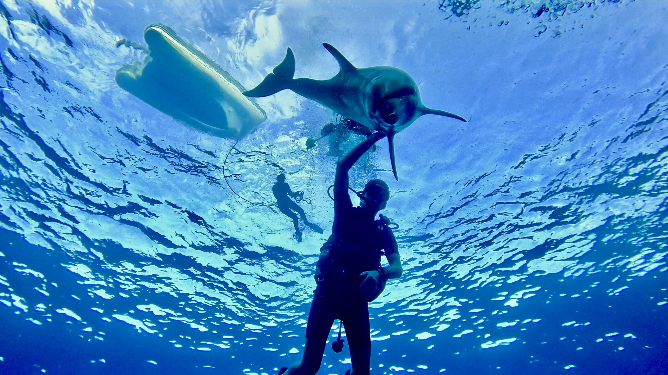 snorkeling and diving with dolphins in Tiputa pass