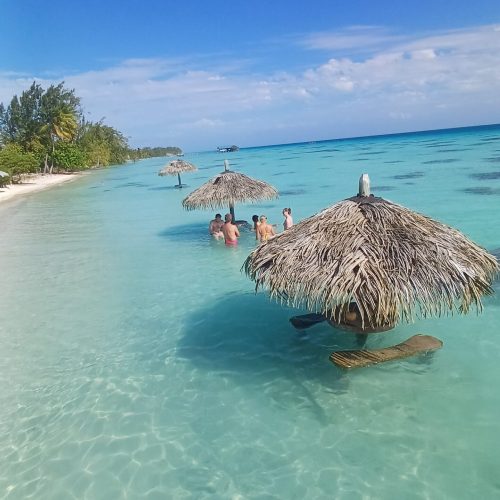 Overwater bungalows and palm trees at sunrise