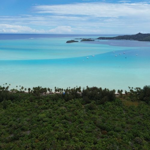 Aerial view of Moorea island from the sea