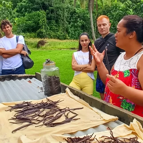 A guide explaining about vanilla farms in french polynesia to guests