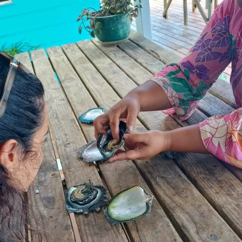 A guide explaining about pearl farms in french polynesia to guests
