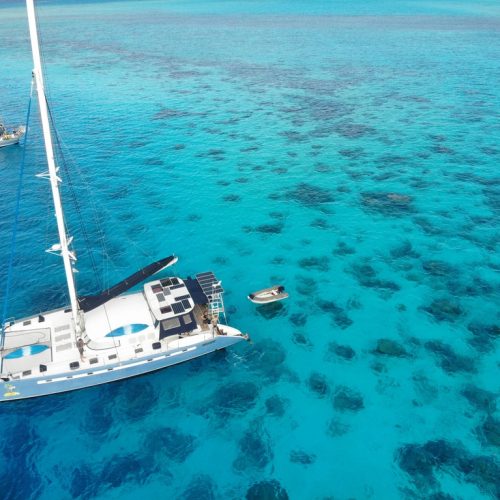 Coral garden near the island of Raiatea